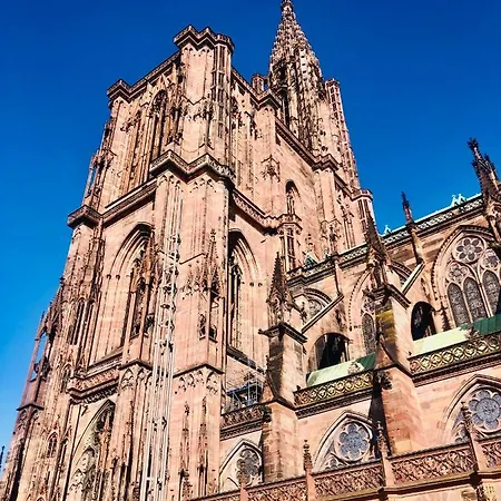 Unik's & Terraza Апартаменты