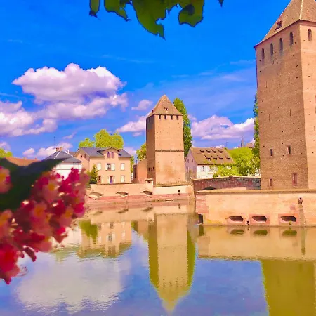 Unik's & Terraza Апартаменты