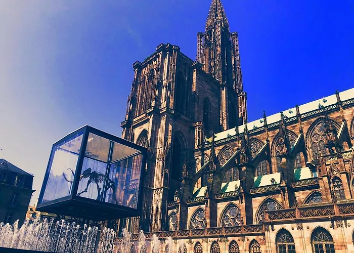 Unik's & Terraza Apartment Straßburg