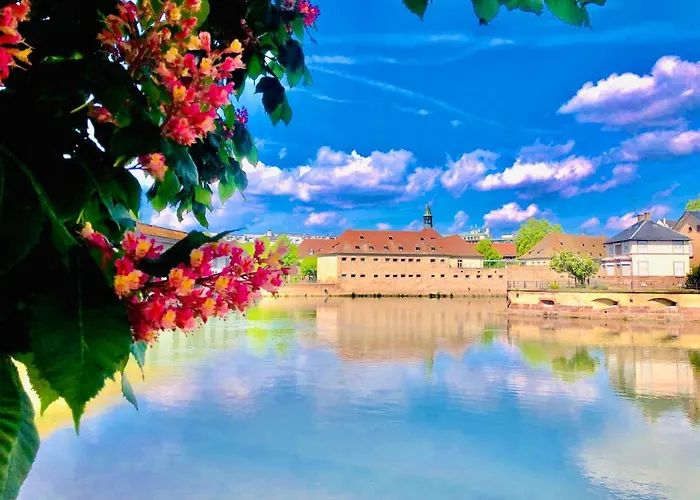 Apartment Unik's & Terraza *