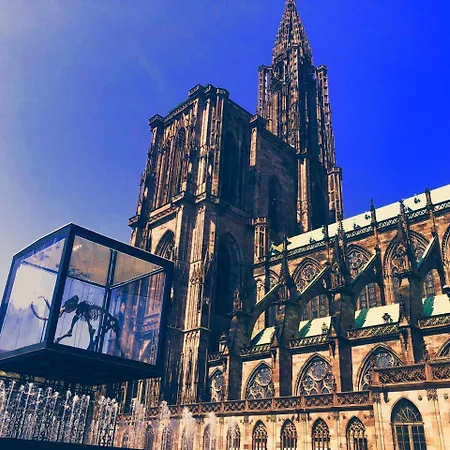 Unik's & Terraza Apartamento Estrasburgo