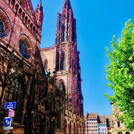 Unik's & Terraza * Estrasburgo